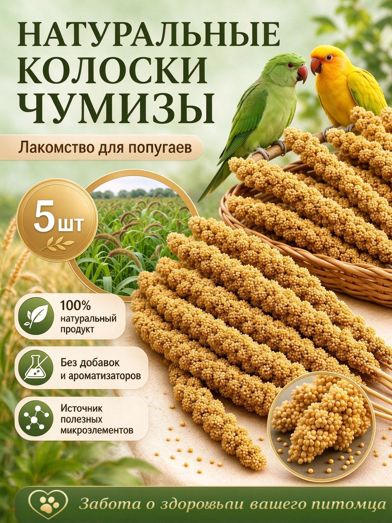 Чумиза натуральная 5 шт, полезное угощение для питомцев, для развлечения и перекуса