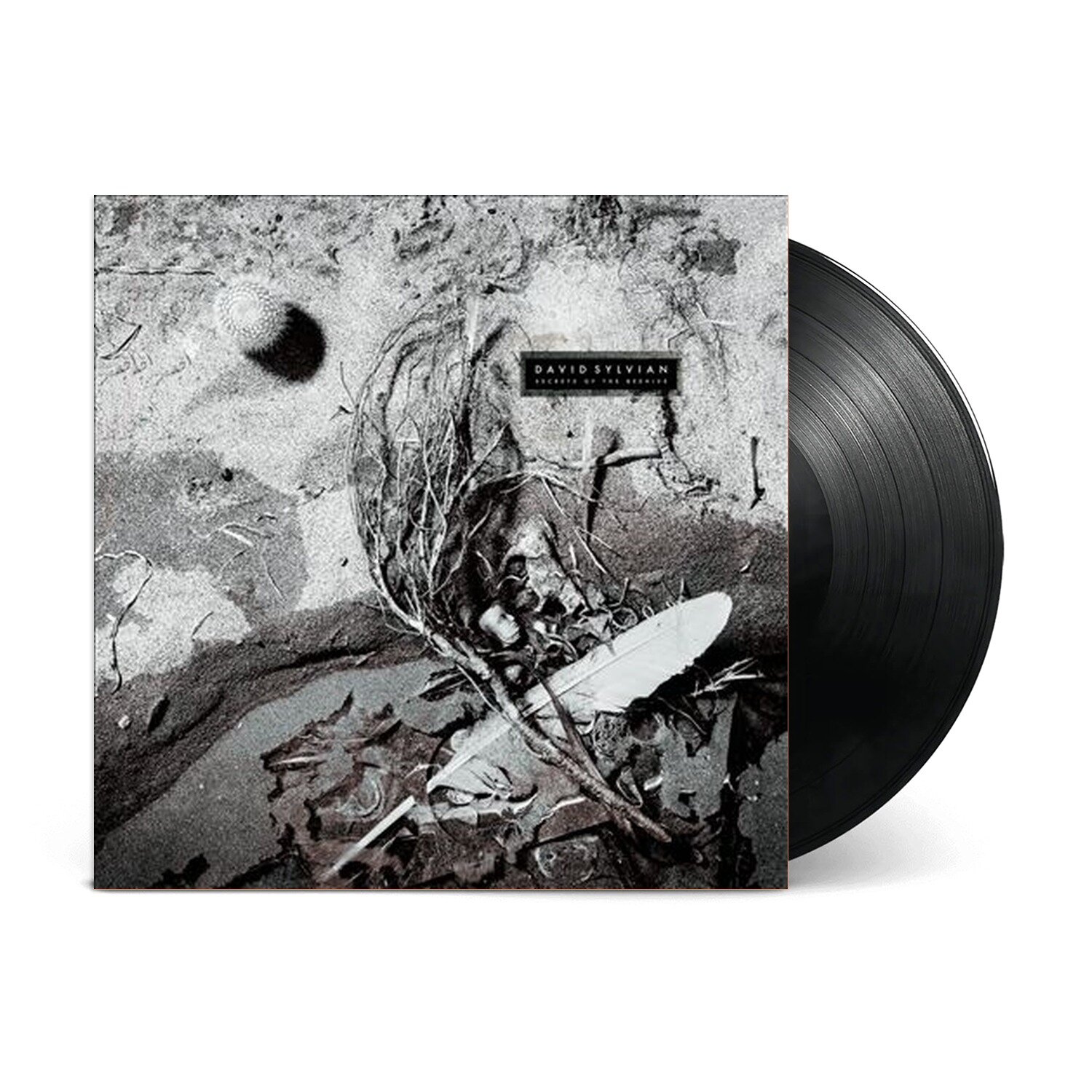 Виниловая пластинка David Sylvian - Secrets Of The Beehive (Vinyl, LP, Album, 2025)
