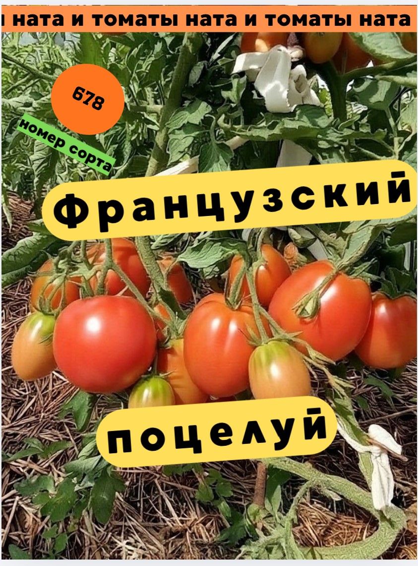 Семена томата Французский поцелуй, Коллекционный сорт 10 шт