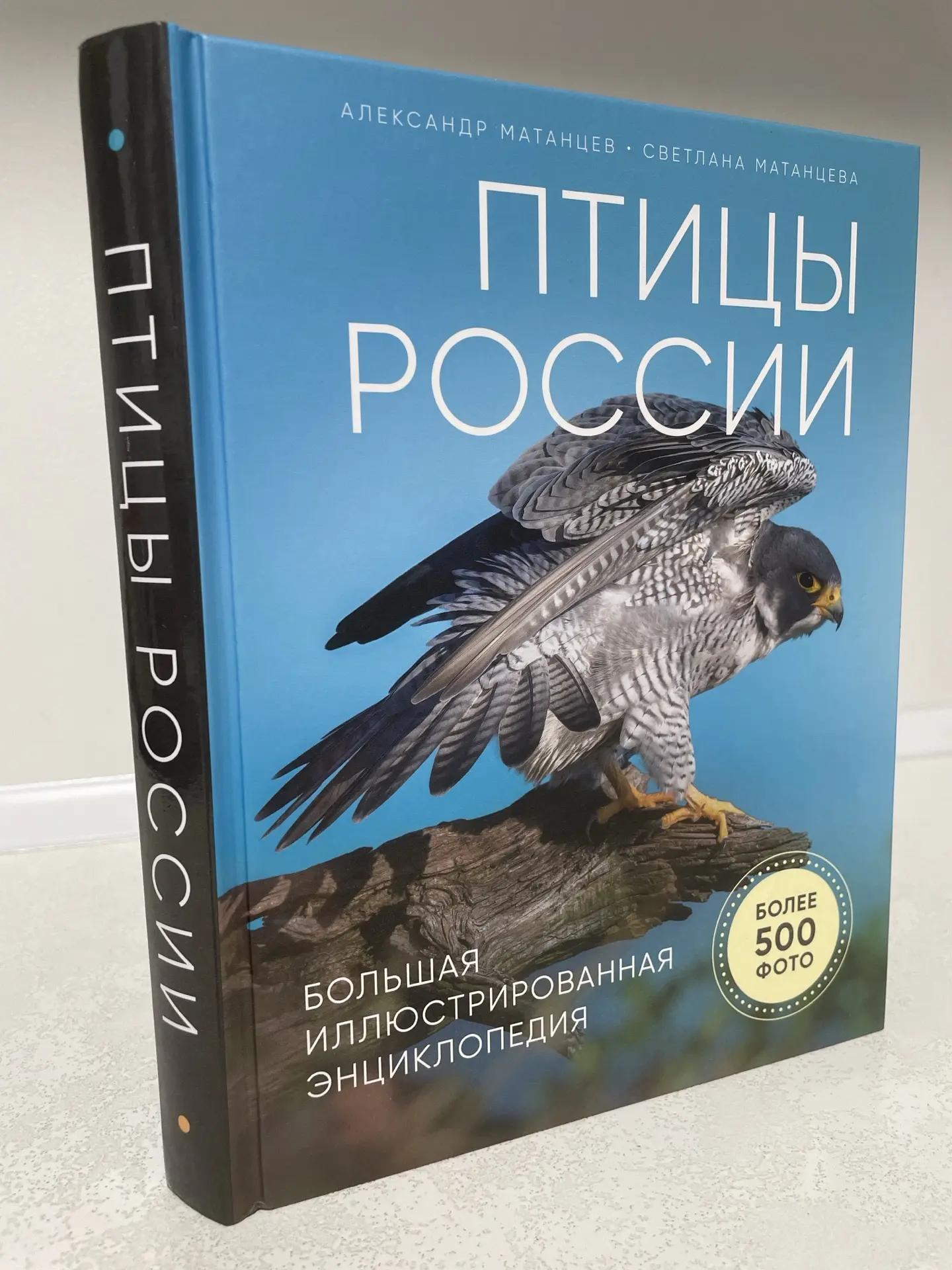 Матанцев А. Н. / Птицы России. Большая иллюстрированная энциклопедия (твёрдый переплет)3