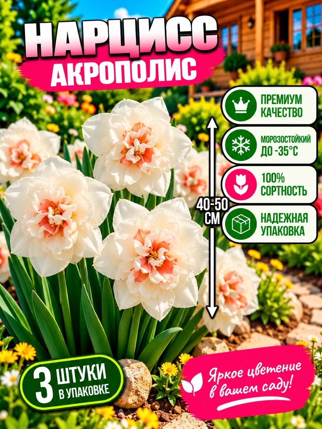 Луковицы нарцисса "Акрополис" 3шт.