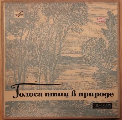 Голоса Птиц В Природе
