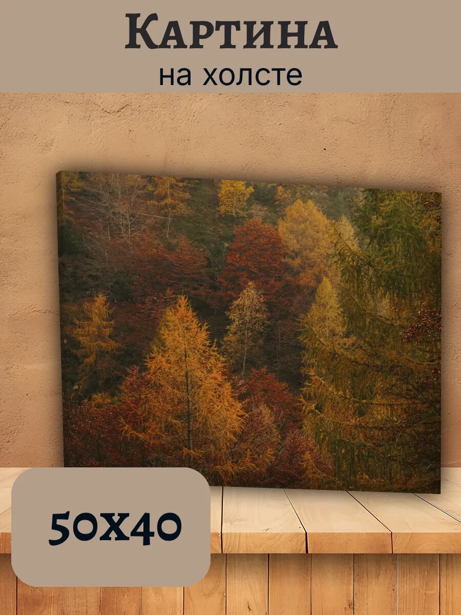 Картина Италия Italy 40x50 осенний лес