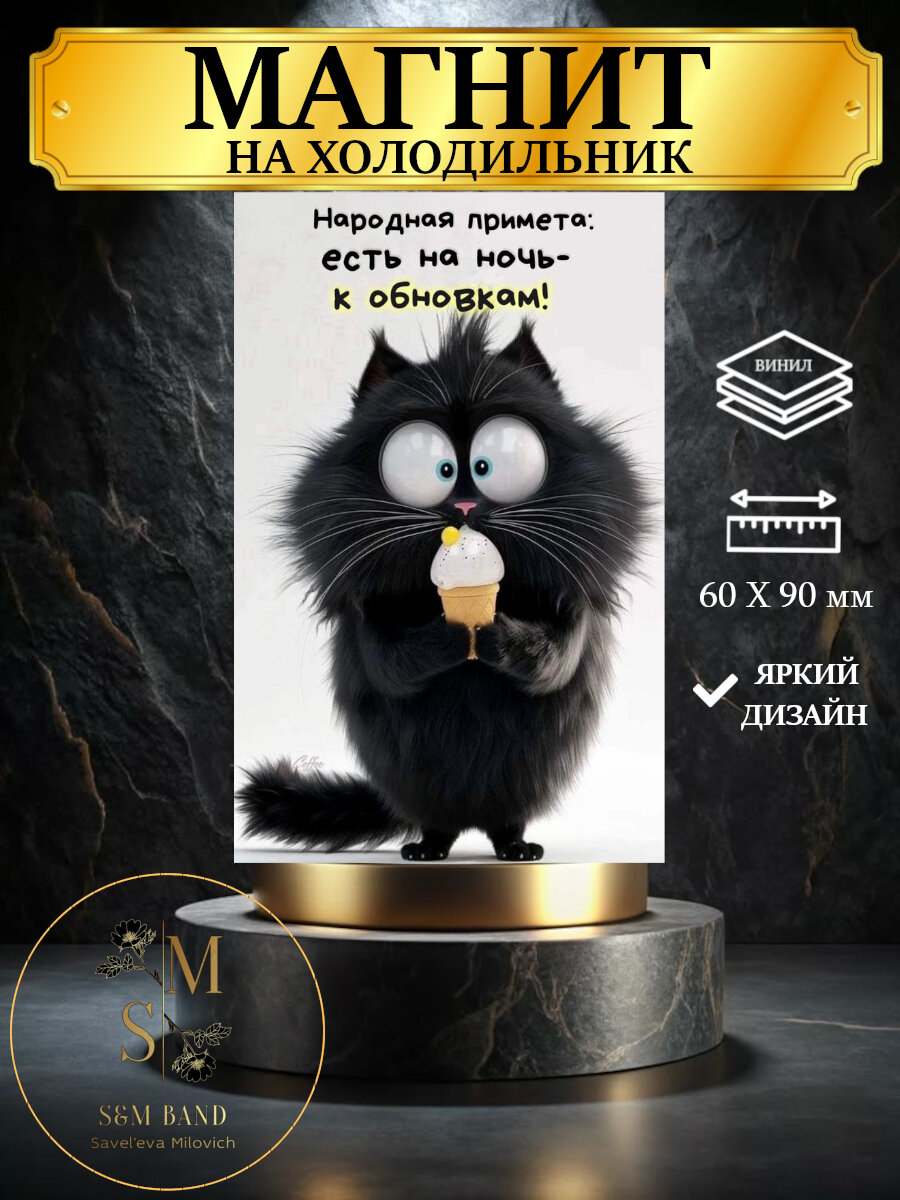Магнит на холодильник Прикольный кот