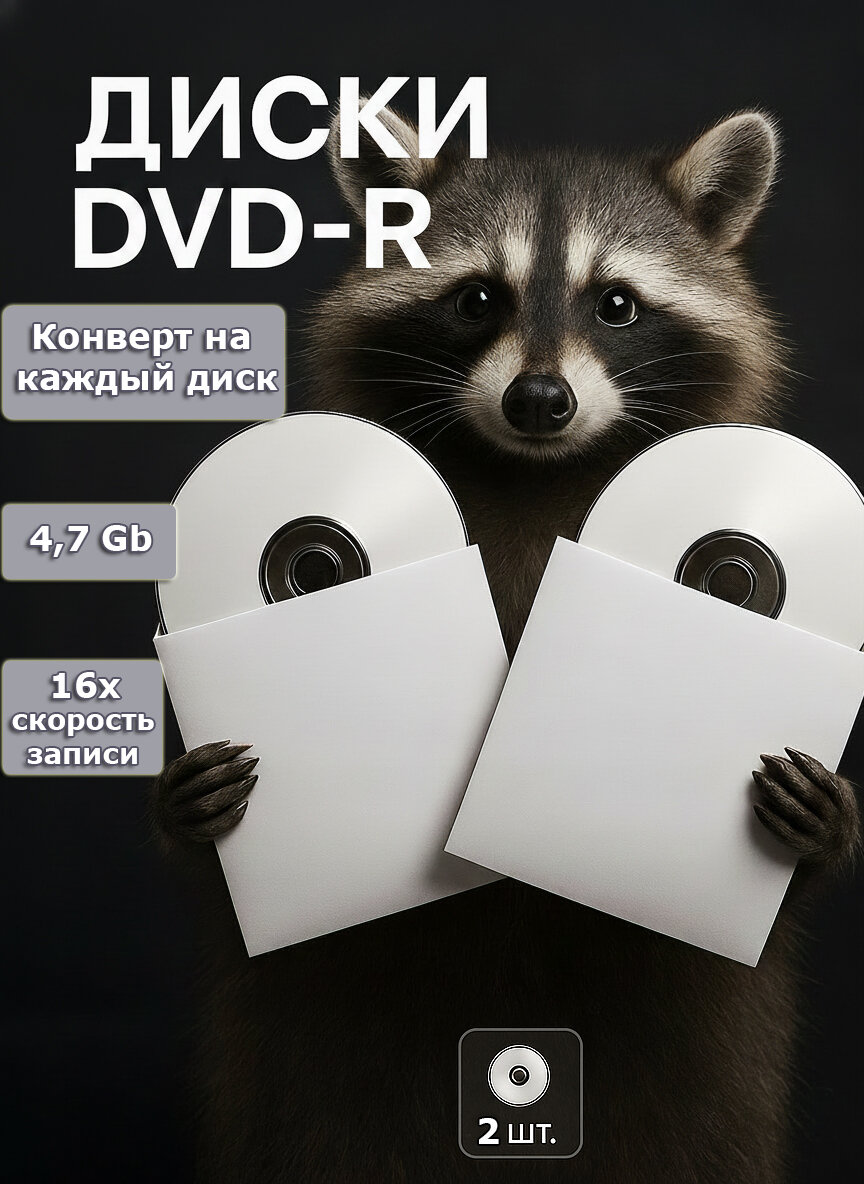 Recassist Диск для записи DVD-R, 4,7 ГБ, 2 шт