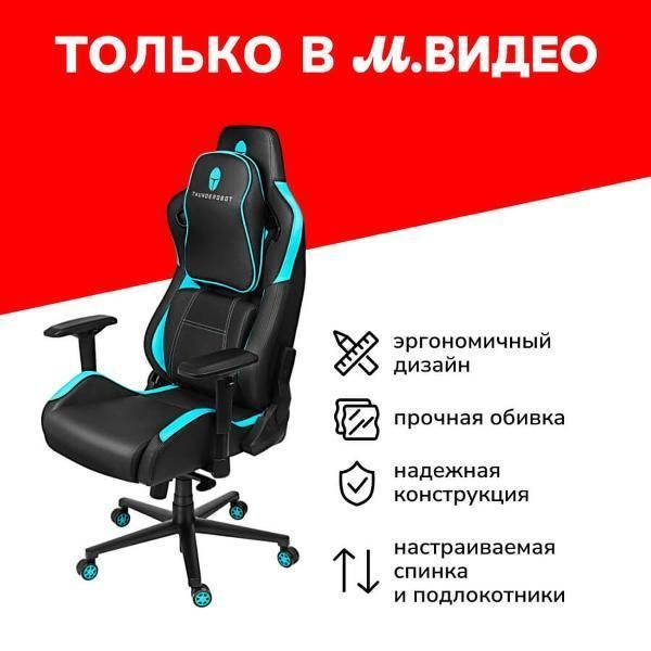Кресло компьютерное игровое Thunderobot E101 Fortress (JM03N1006RU)