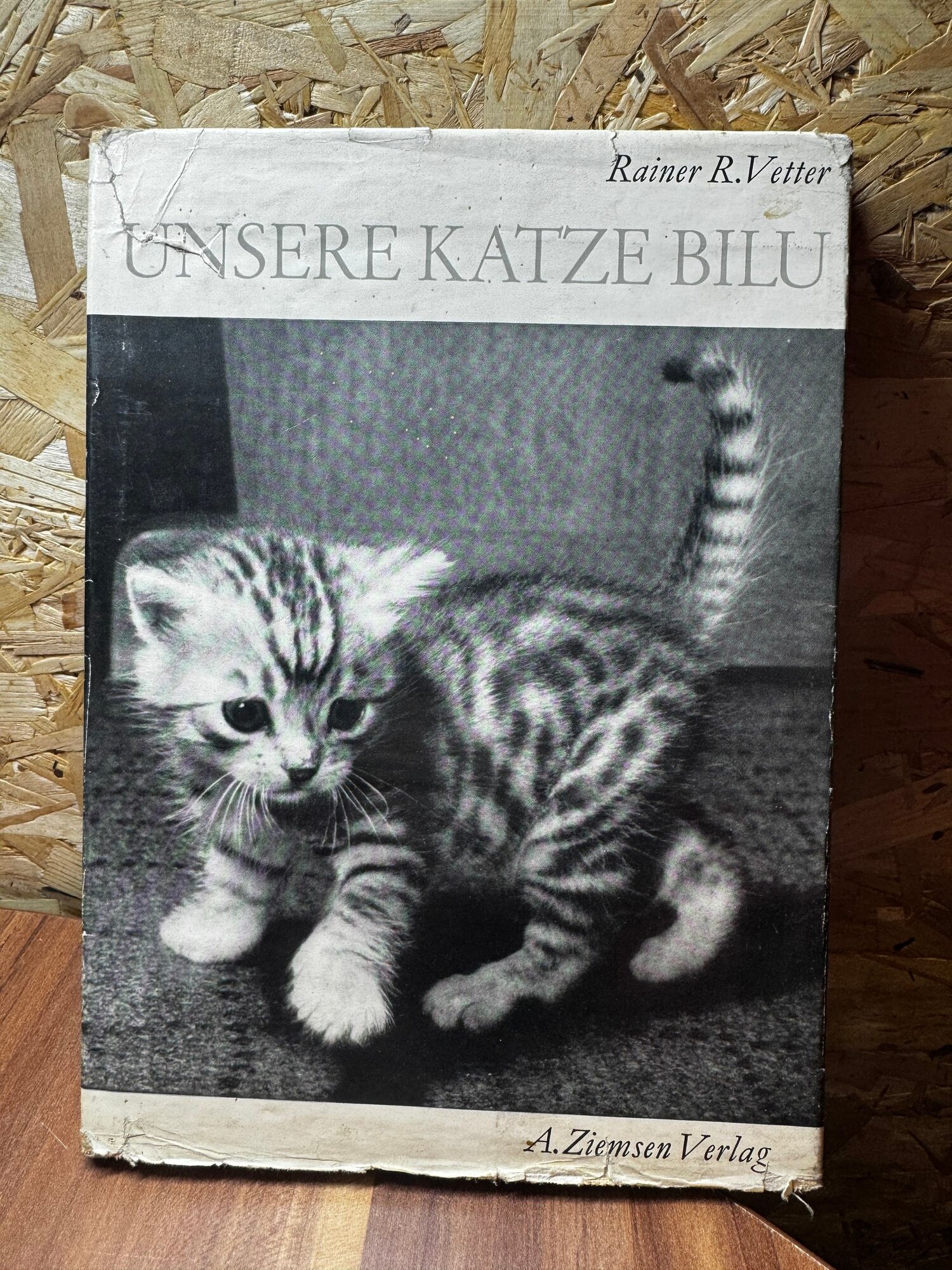 Unsere Katze Bilu / Наш кот Билу (На немецком языке)