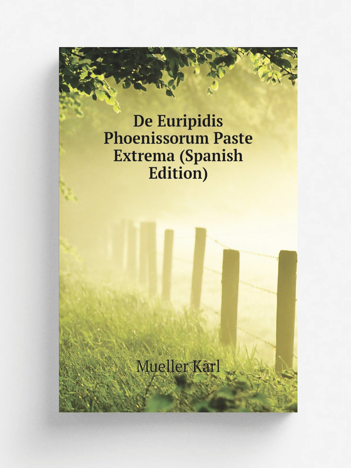 De Euripidis Phoenissorum Paste Extrema (Spanish Edition) | Mueller Karl | Репринт