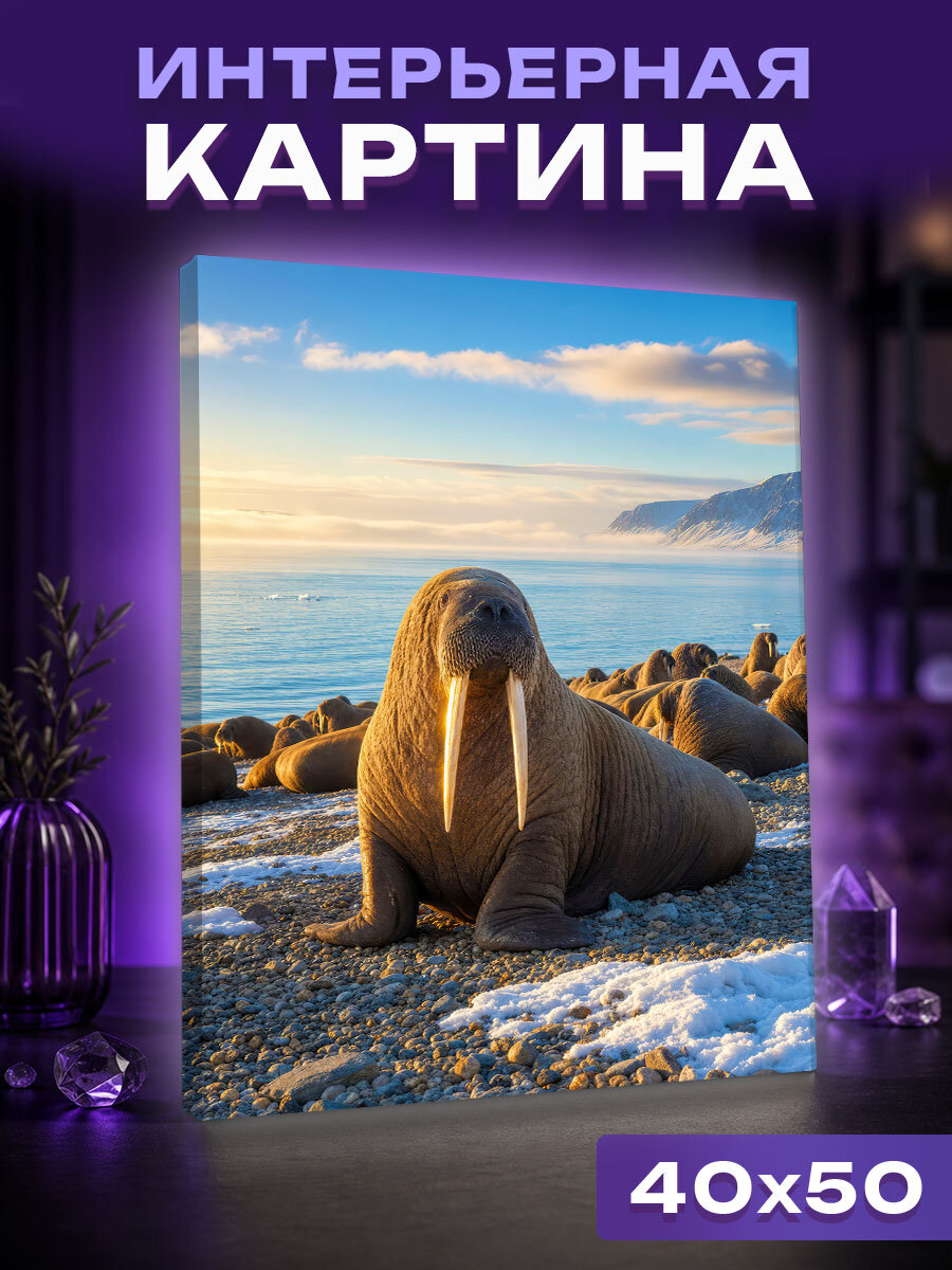 Интерьерная картина Золотое утро моржового стада