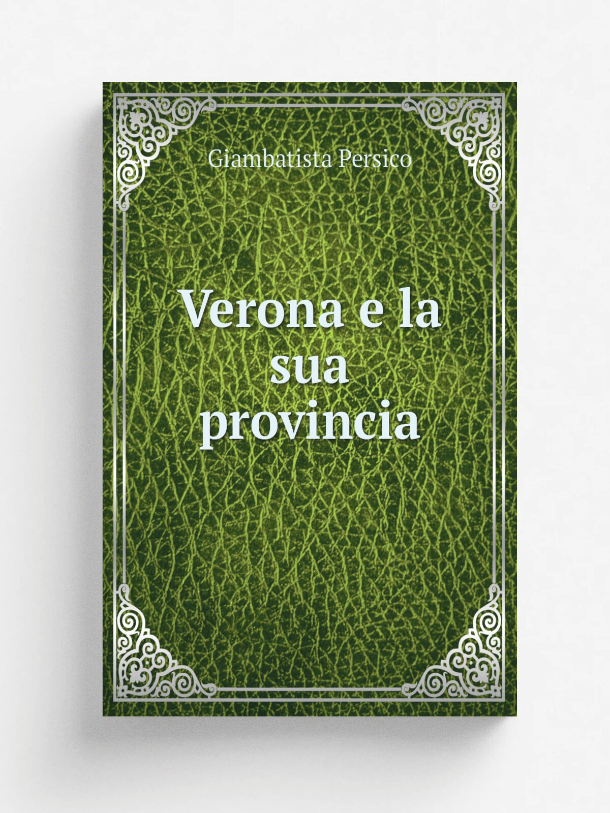 Verona e la sua provincia | Giambatista Persico | 1838 | F. Pollidi | Репринт