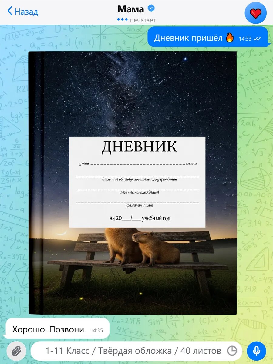 Школьный дневник с принтом Роблокс