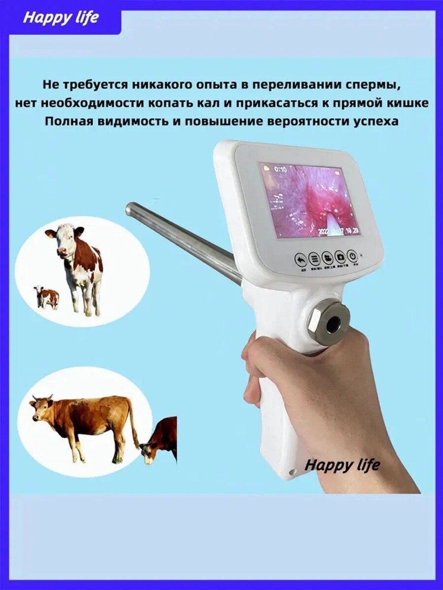 Визуальный эндоскоп, Инструменты для искусственного осеменения корова