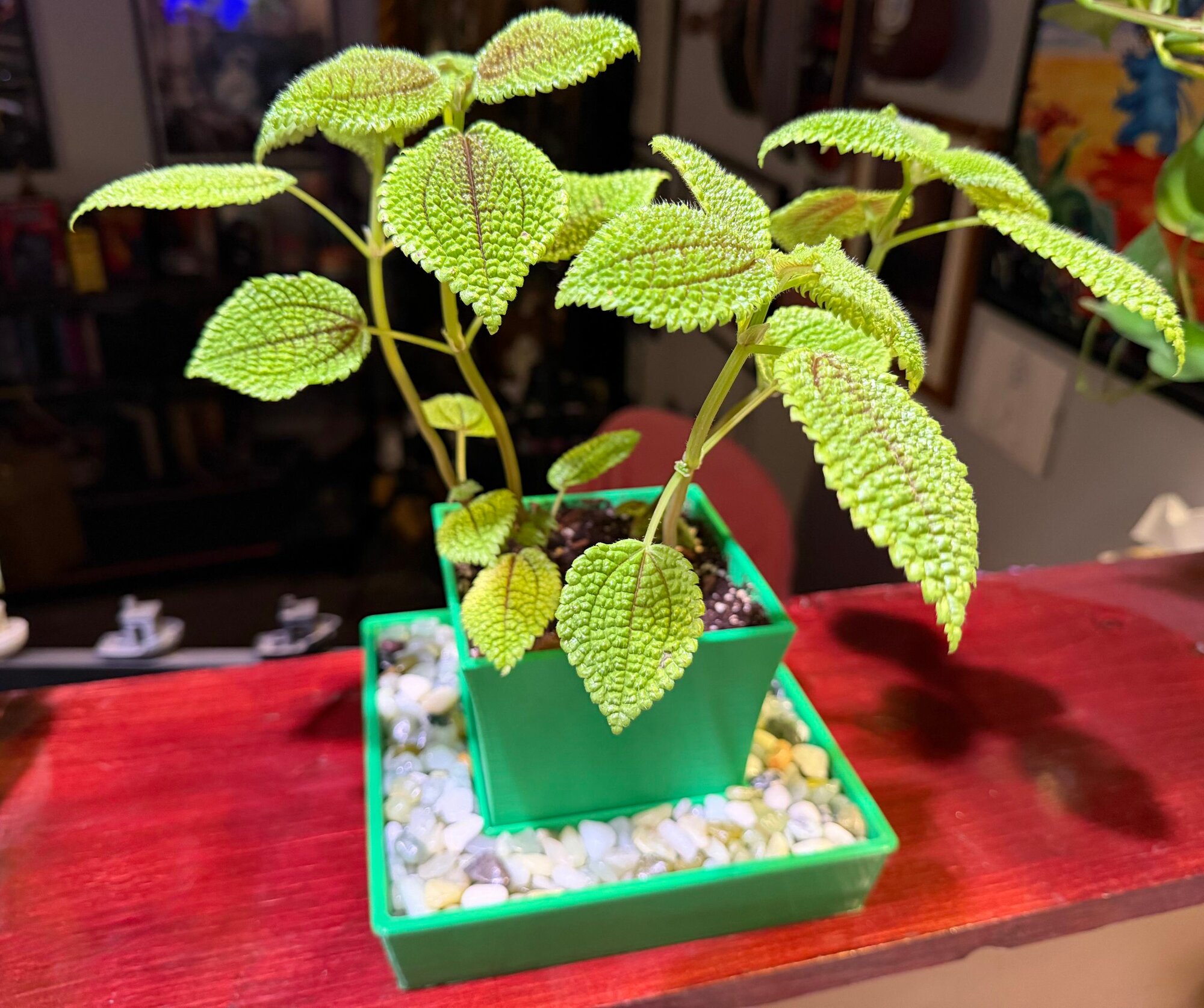 Кашпо для растений дизайнерская, 3D-печать под заказ, арт. PZ-PLANT-PR-1703382