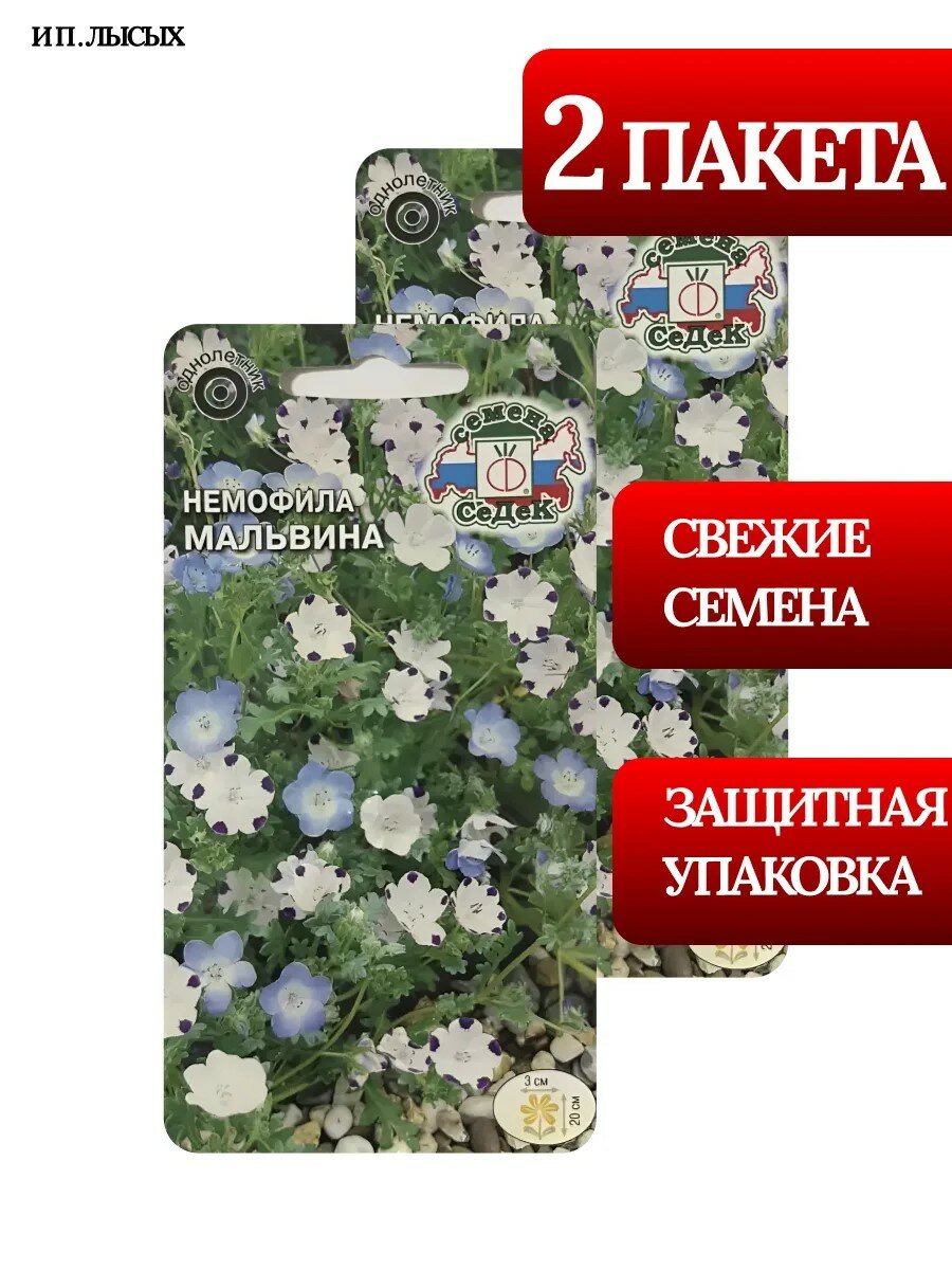 Семена Немофила "Мальвина"