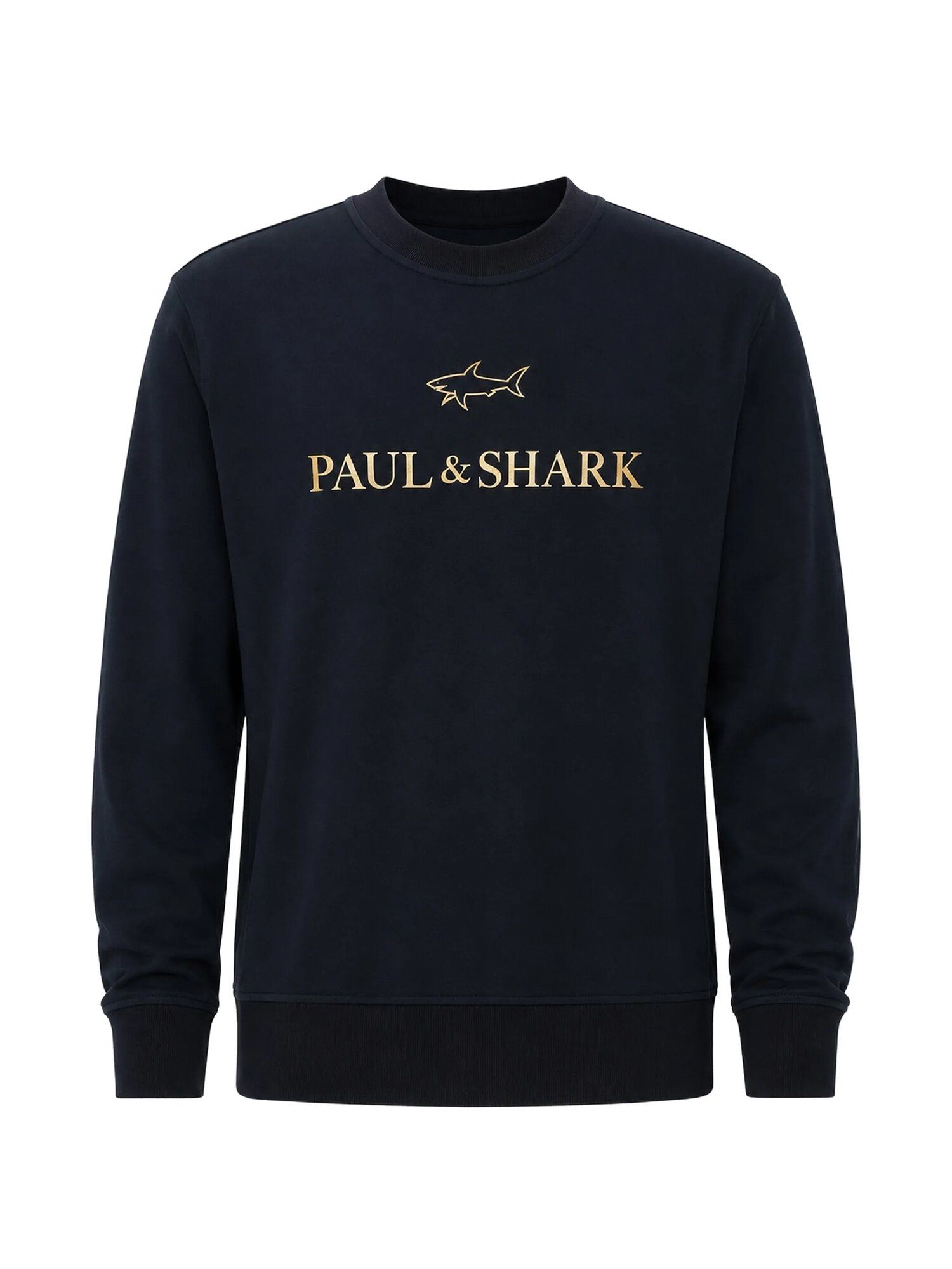 Худи Paul & Shark