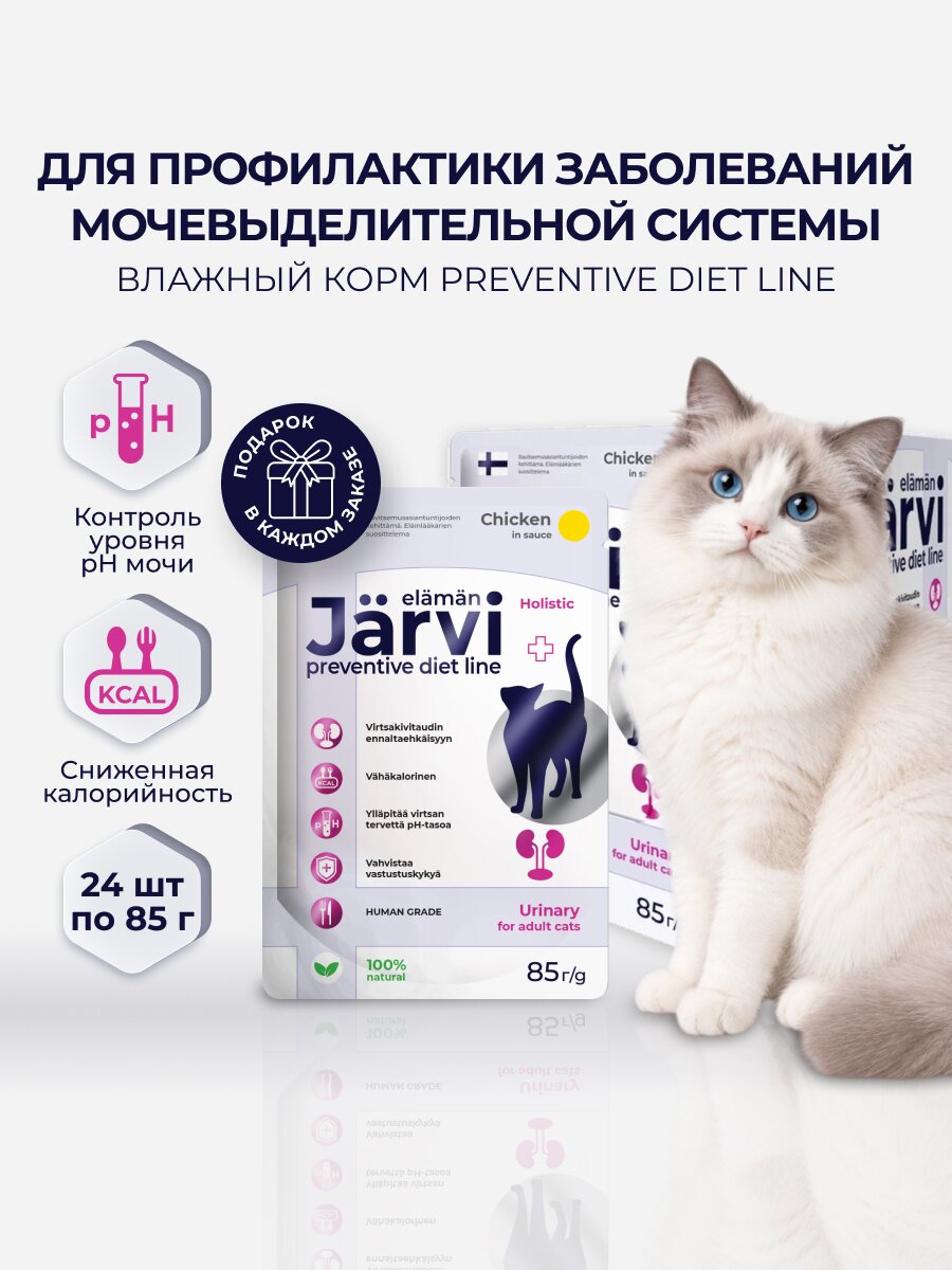 Влажный корм Jarvi Preventive diet line Urinary для кошек для профилактики заболеваний МКБ с курицей (кусочки в соусе), 85 г х 24 шт.