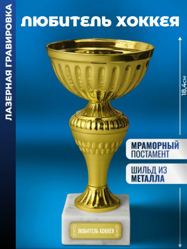 Кубок "Любитель хоккея"