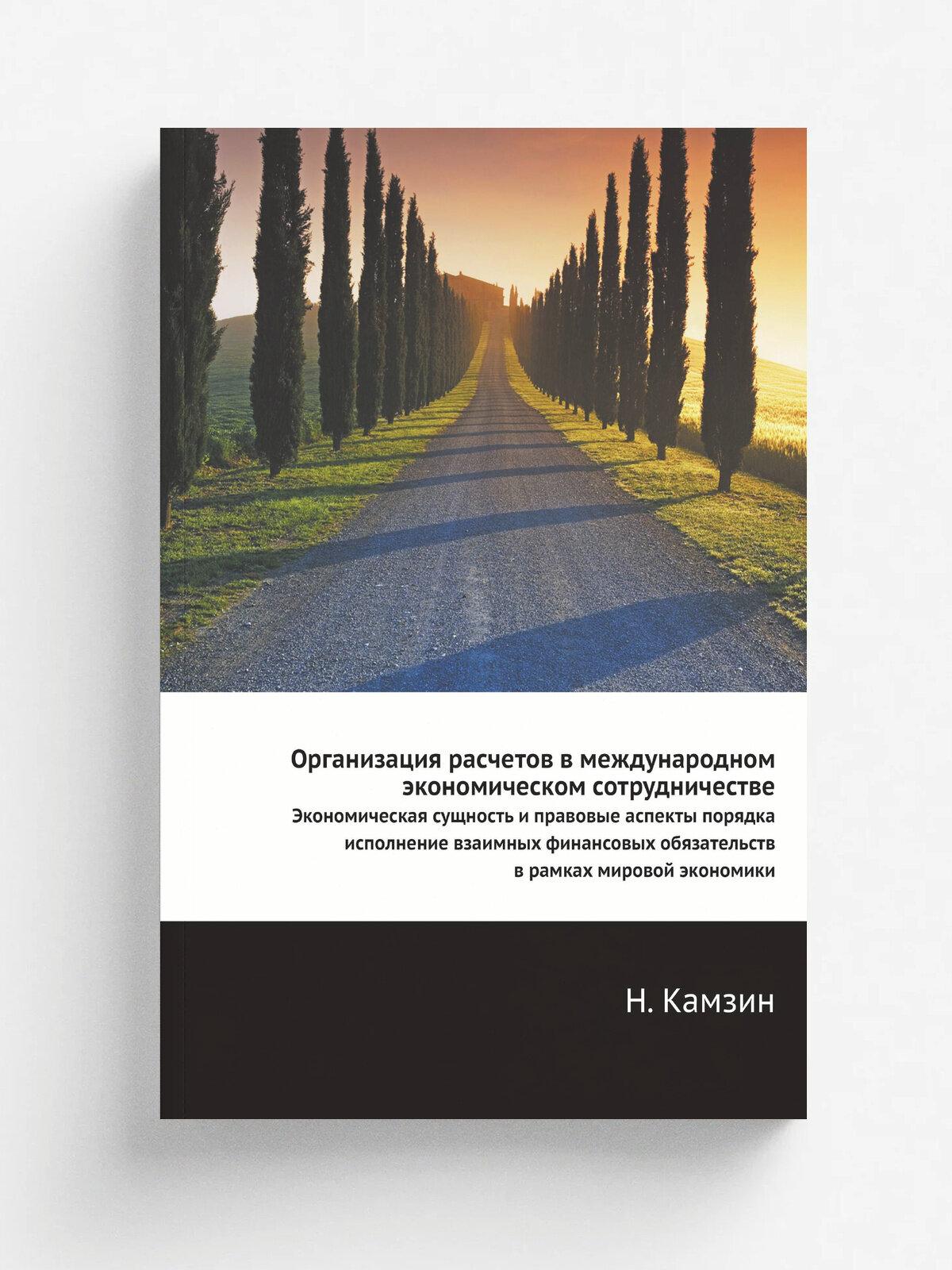 Организация расчетов в международном экономическом сотрудничестве