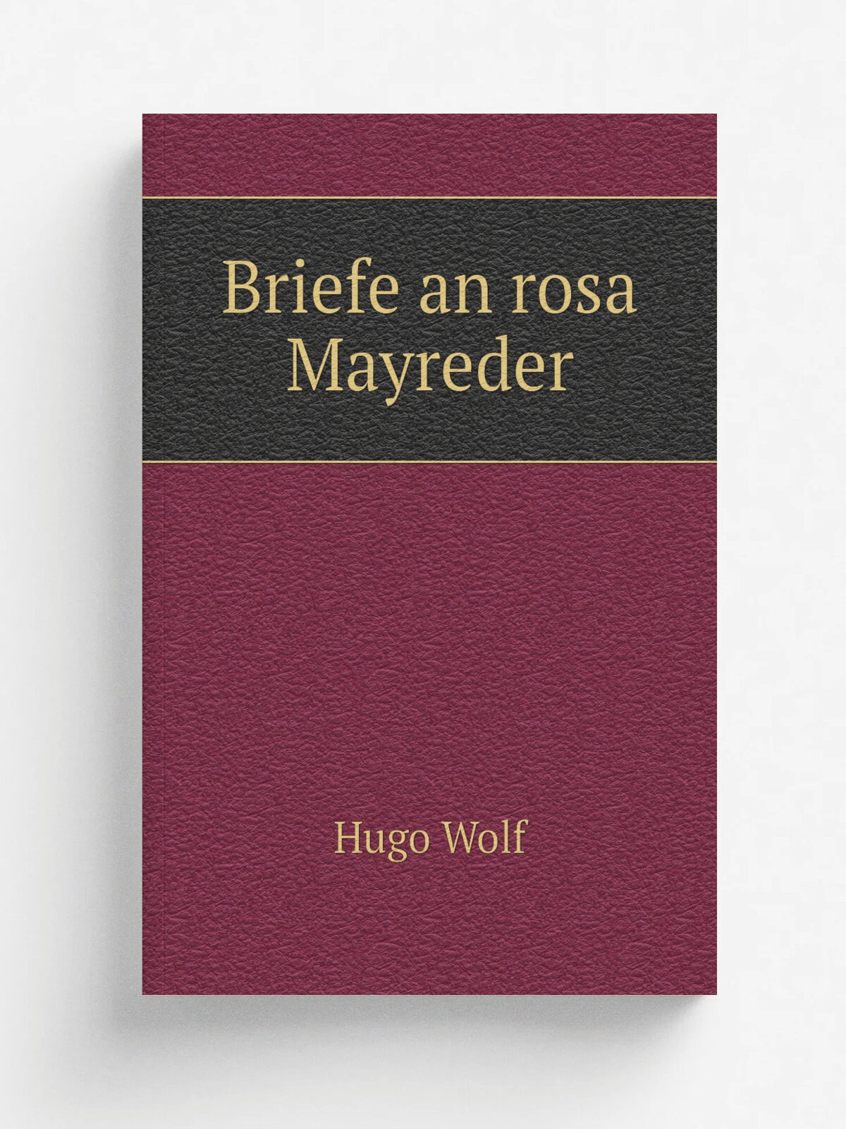 Briefe an rosa Mayreder | Hugo Wolf | 1921 | Rikola | Репринт