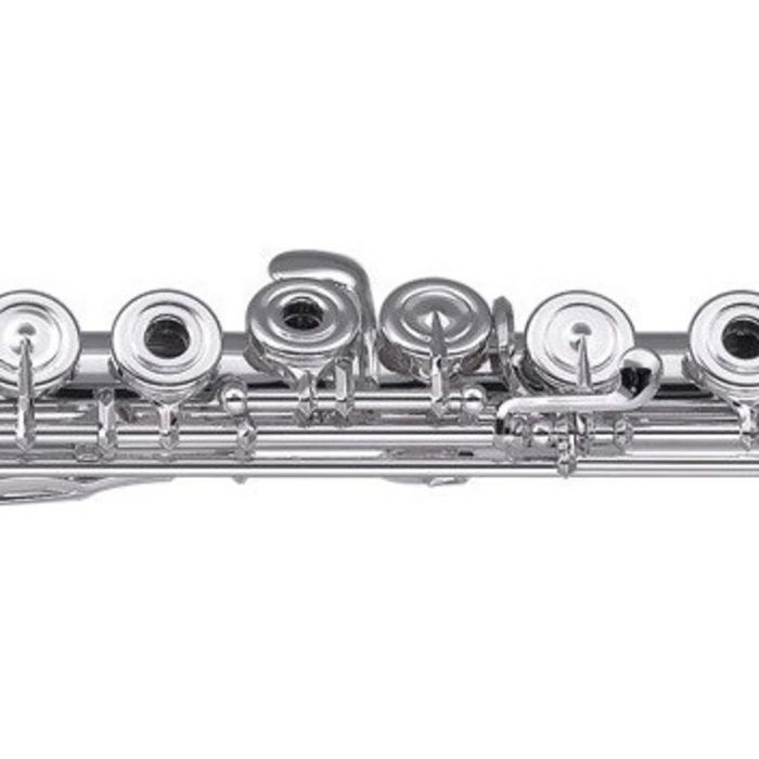 Artist AF-300RBSO Флейта