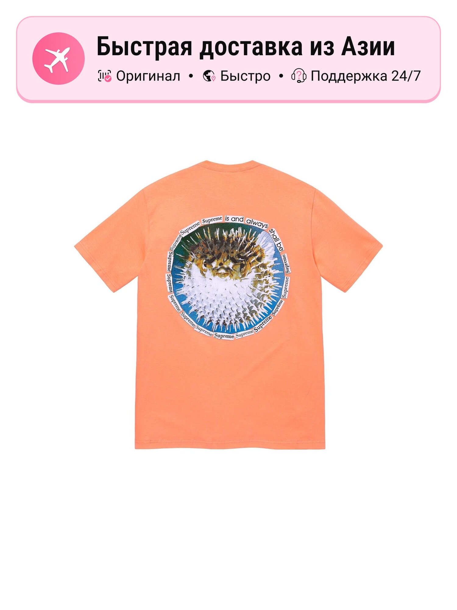 Футболка Supreme Supreme Blowfish