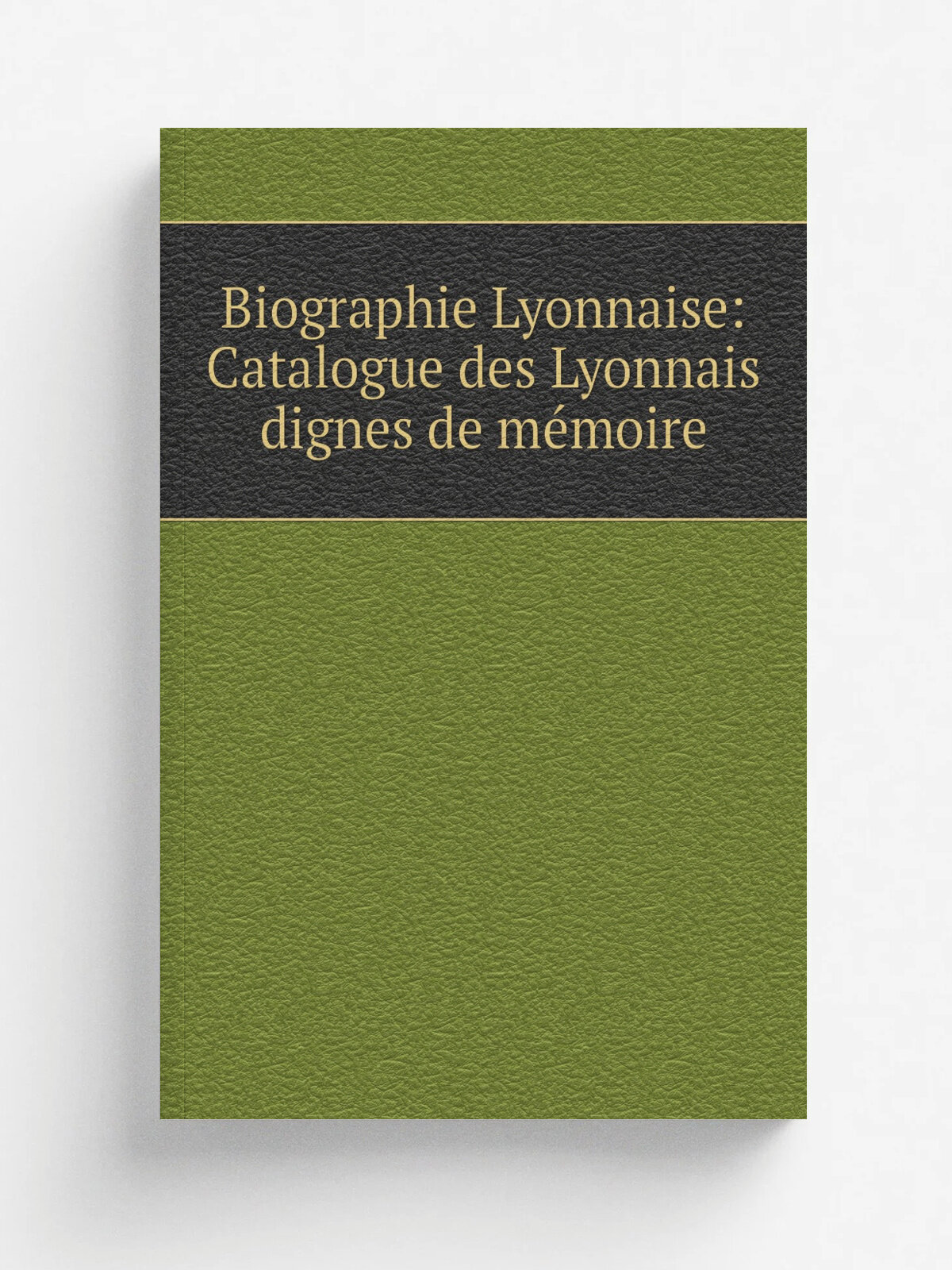 Biographie Lyonnaise: Catalogue des Lyonnais dignes de m.moire | 1839 | Giberton et Brun | Репринт