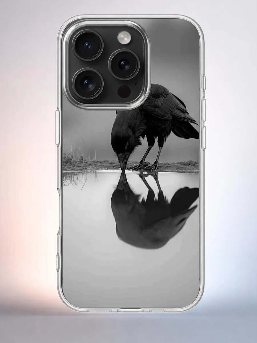 Чехол iPhone 15 Pro ворон у воды силиконовый