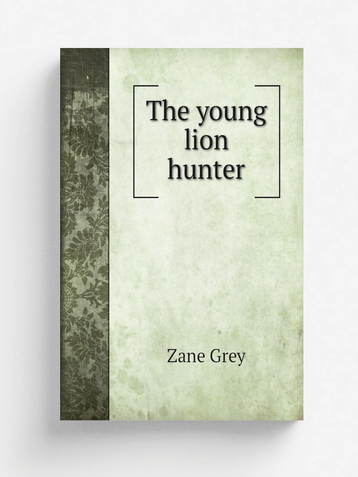 The young lion hunter