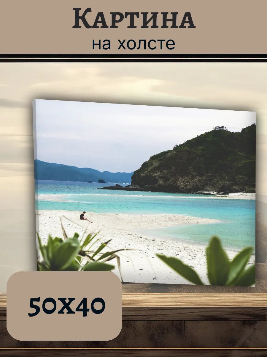 Картина Япония Japan 40x50 тропический пляж