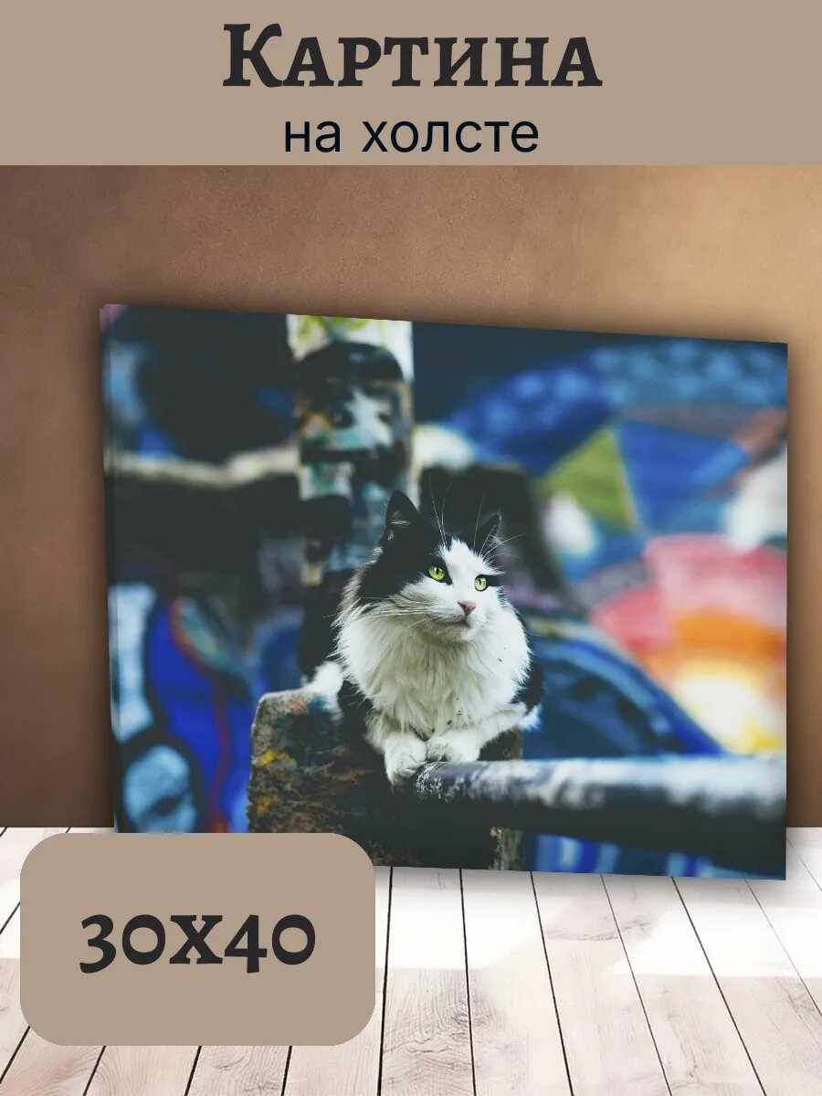 Картина Кот Кошка Cat 30x40 черно-белая с зелеными глазами
