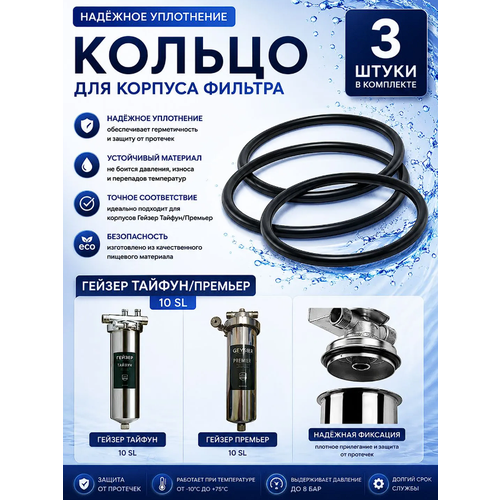 фото Уплотнительное кольцо/прокладка для корпуса фильтра гейзер тайфун/премьер 10 sl - (3 шт.)