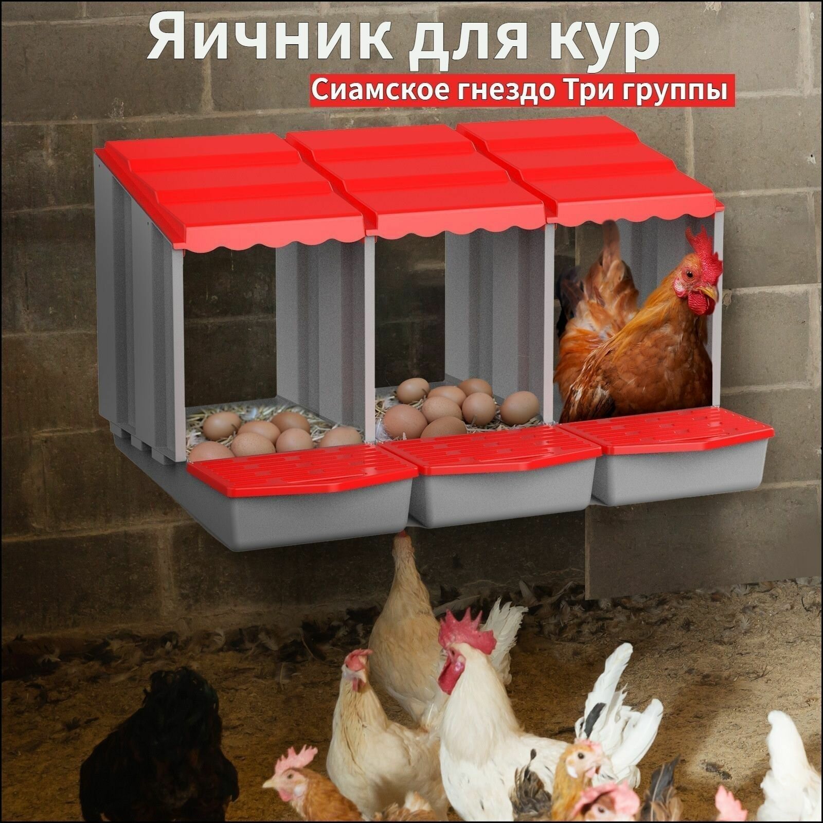 Инновационное гнездо для кур с яйцесборником, премиум 84.5 на 51.5 на 46.5 см