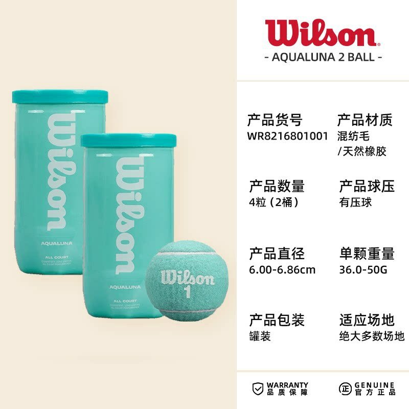 Теннисные мячи Wilson WR8216801001 Голубой 2 банки Тренировочные профессиональные