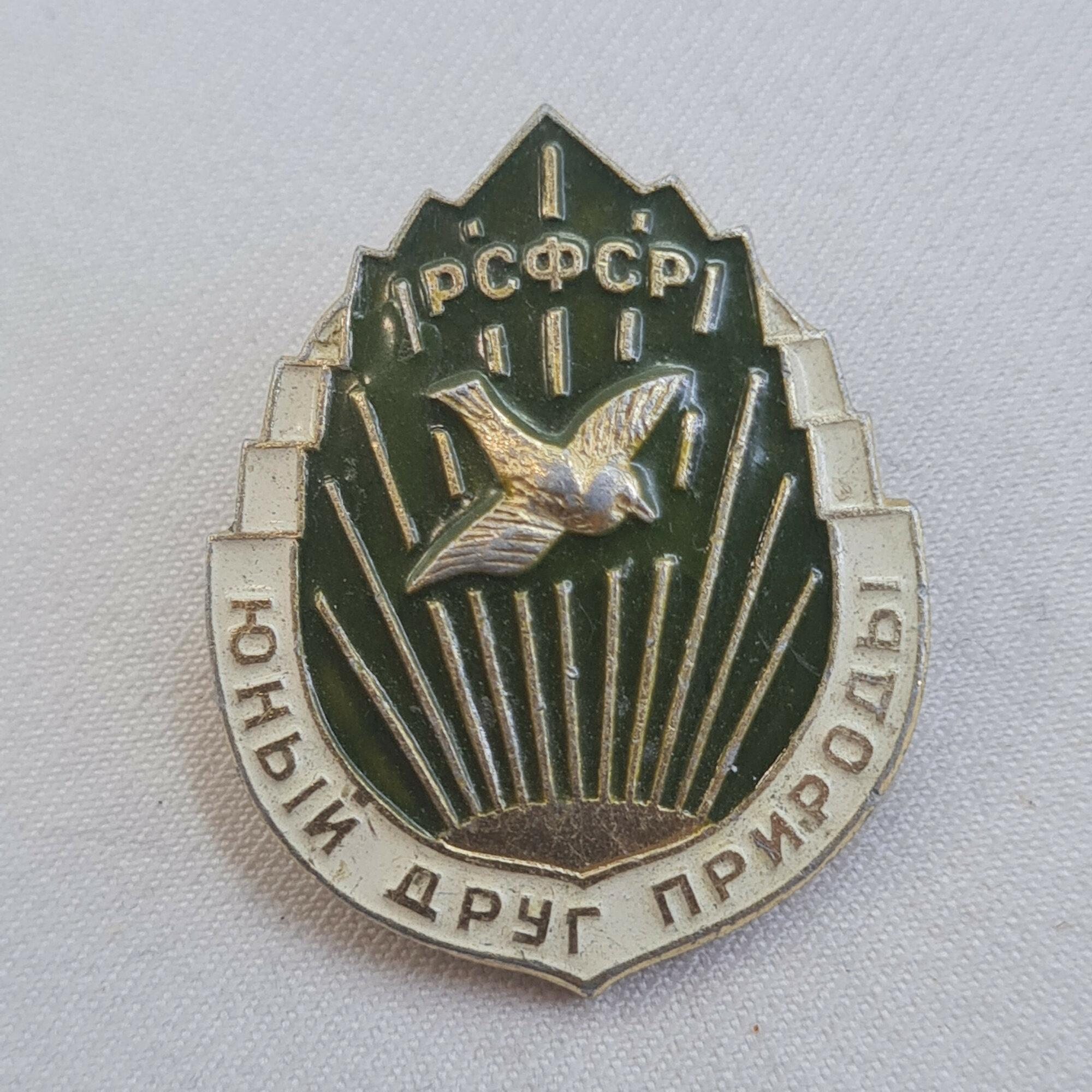 Значок СССР. Рыбка и надпись Юный друг природы. Винтажный значек