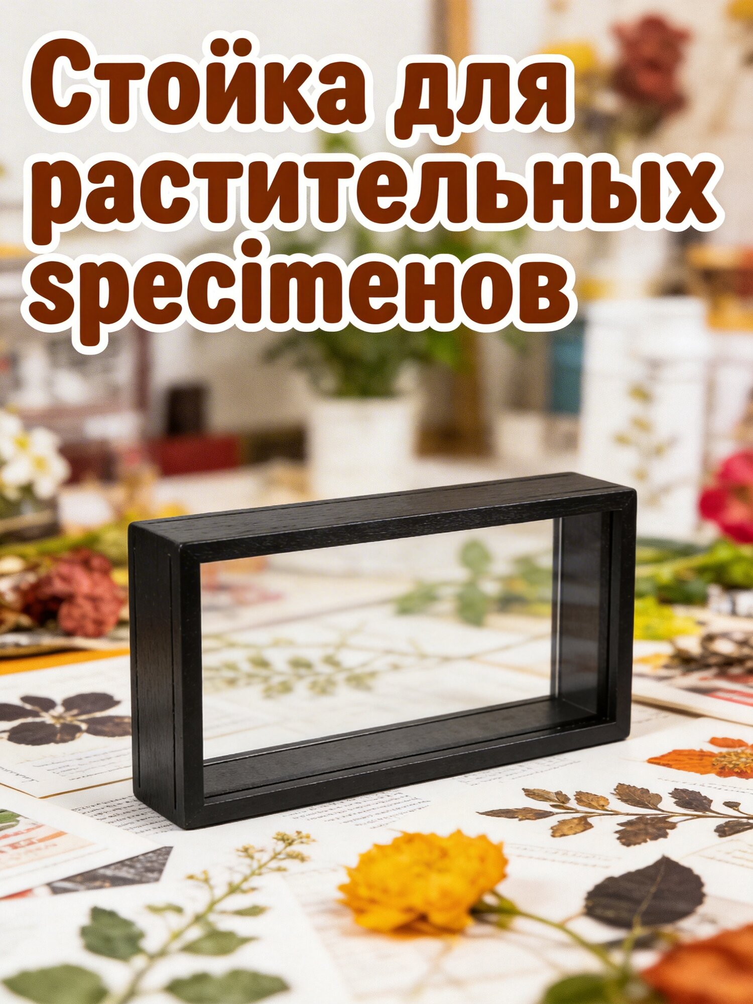 Теневая рамка для бабочек и прессованных цветов 26.00X12.90X5.40CM Черный
