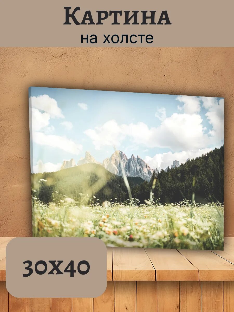 Картина Италия Italy 30x40 горный пейзаж с цветами