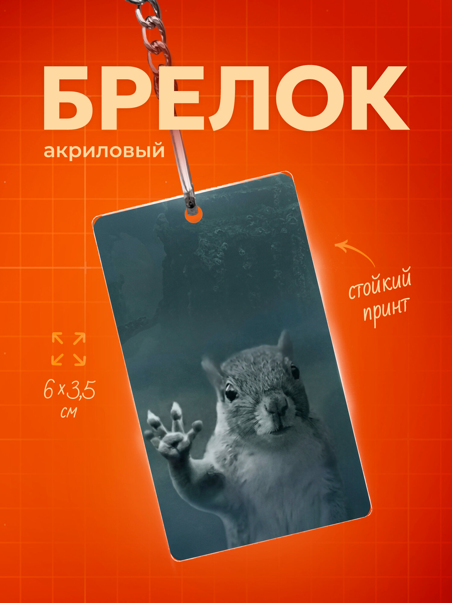 Бирка для ключей IREVIVE