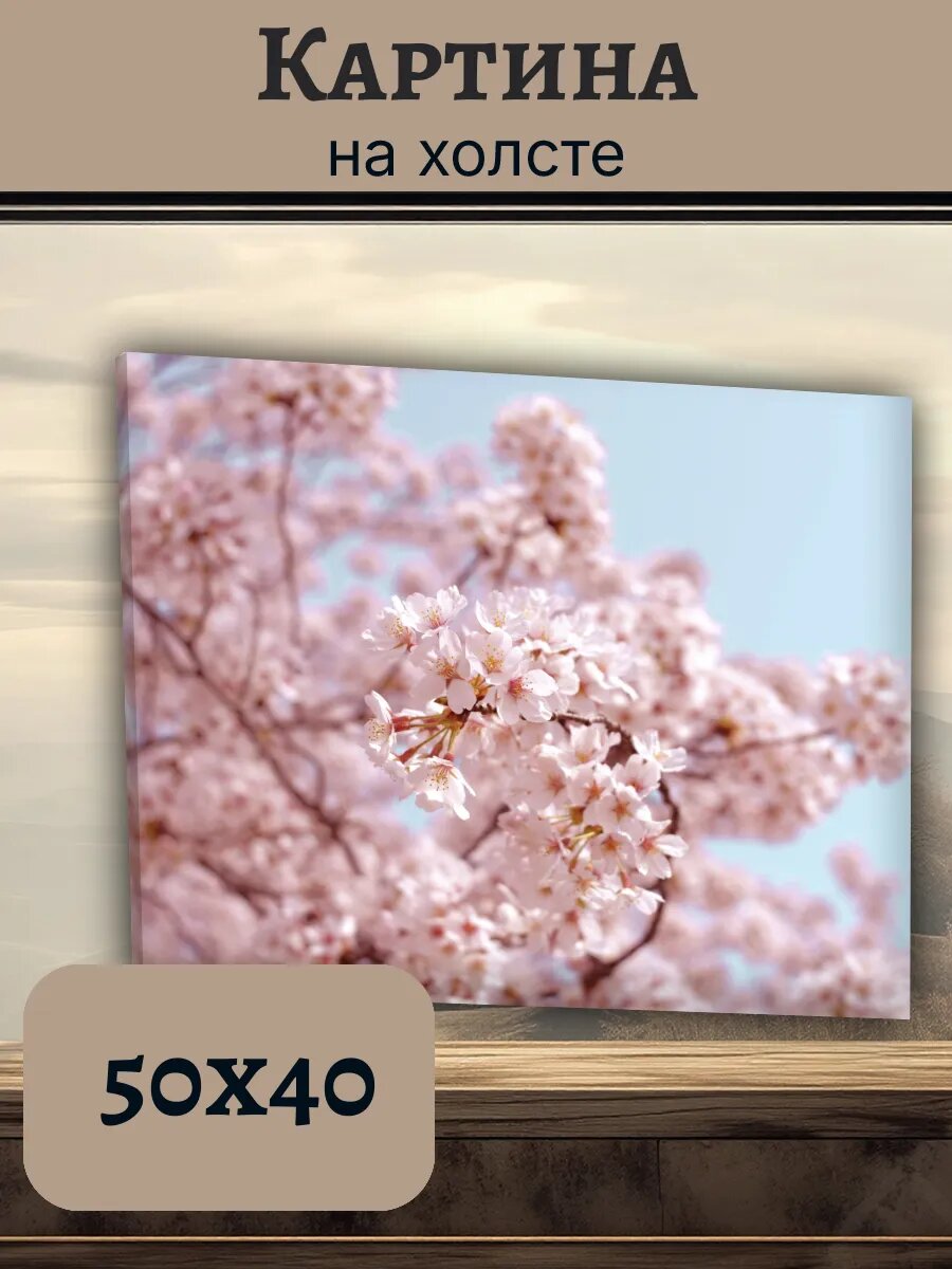 Картина Постер Китай China 40x50 сакура