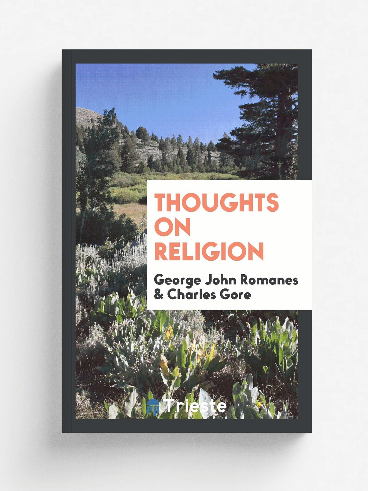 Thoughts on Religion