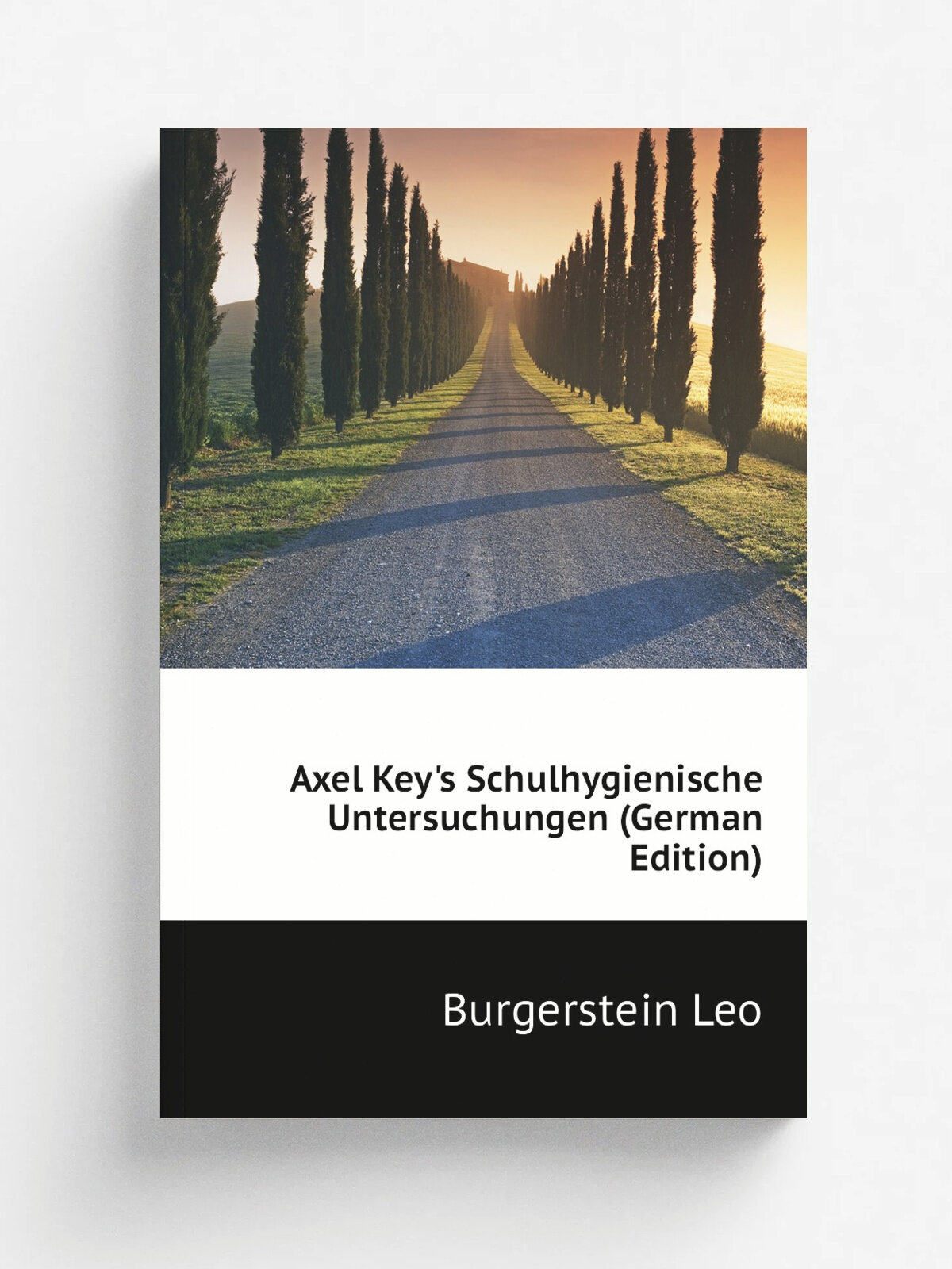 Axel Key's Schulhygienische Untersuchungen (German Edition) | Burgerstein Leo | Репринт