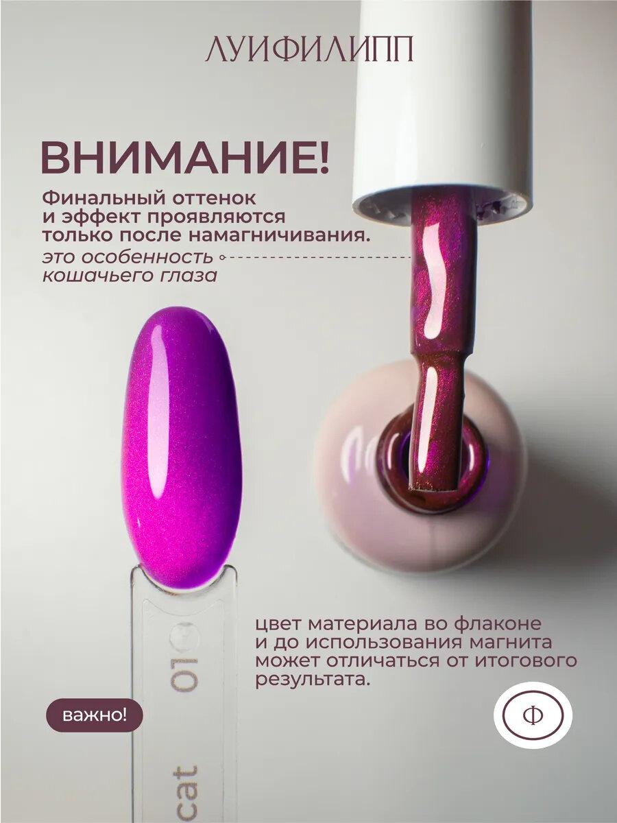 Гель-лак для ногтей Луи Филипп Sky cat 05 8g