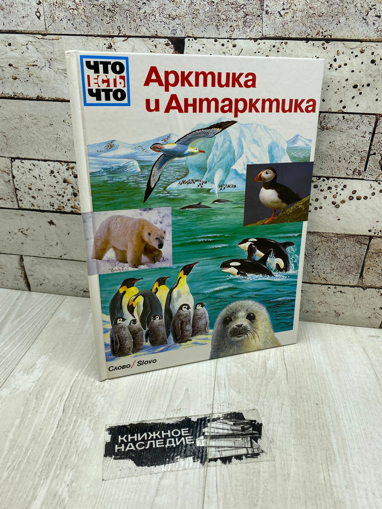 И. Малльвиц. Что есть что Арктика и Антарктика слово 1998
