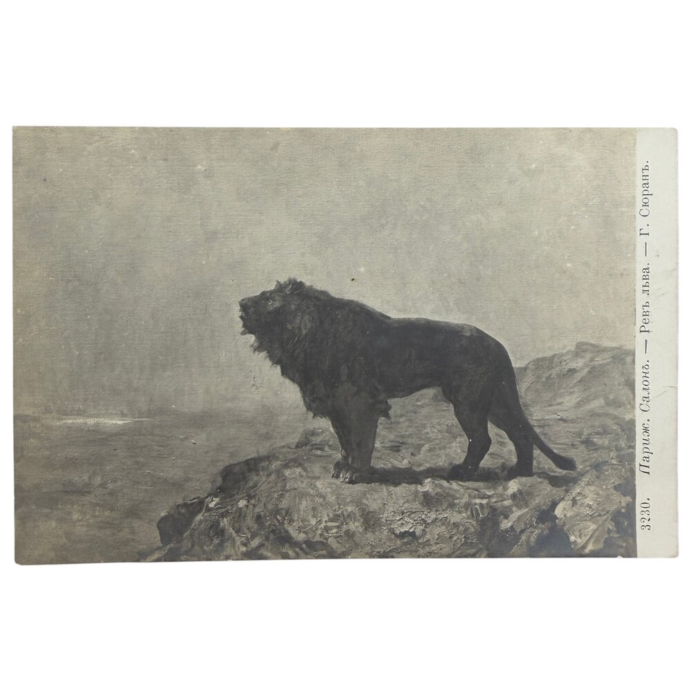 Почтовая открытка "Сюран - Рев льва" 1900-1914 гг. Российская Империя