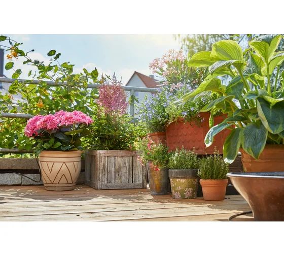 Комплект микрокапельного полива для горшечных растений Gardena — фото 1