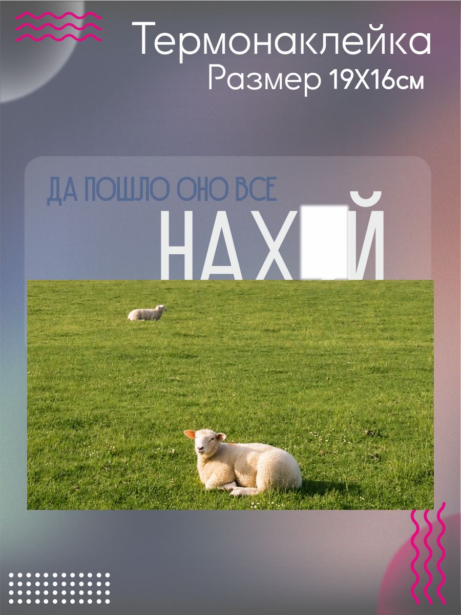 Термонаклейка на одежду Пошло оно