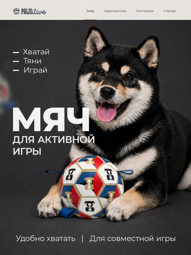 Изображение товара Игрушка для собак мяч / Игрушка для животных сфера интерактивная для собак мелких, средних и крупных пород