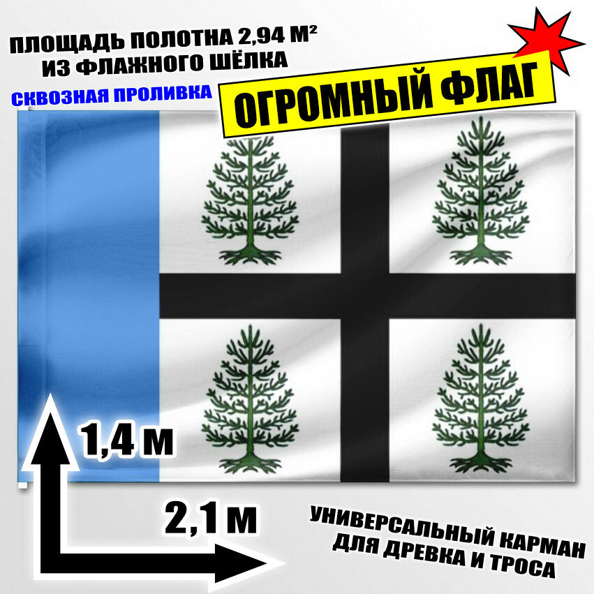 Флаг огромный Судиславля 210x140 см
