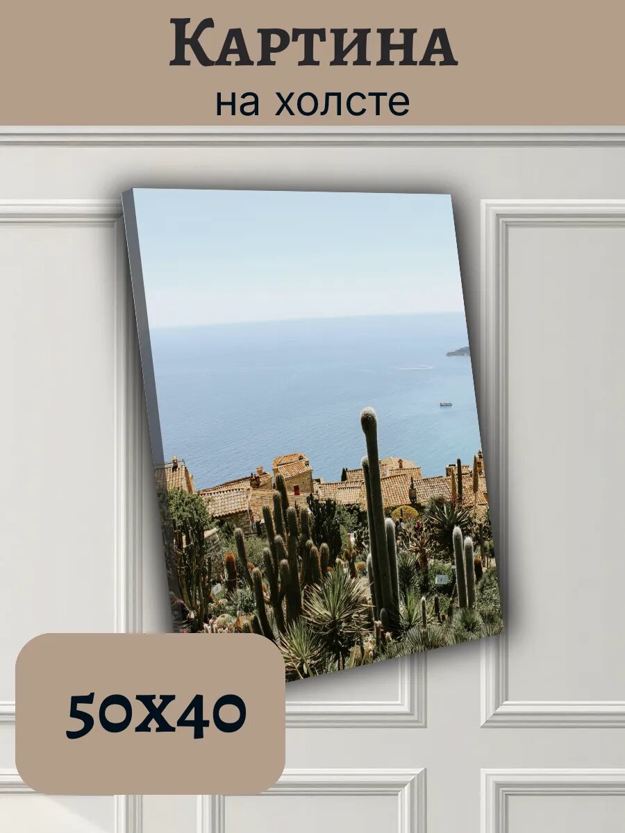 Картина Постер Франция France 40x50 Ницца кактусы сад