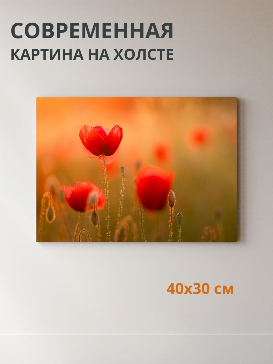 Картина на холсте Маки 40x30 см