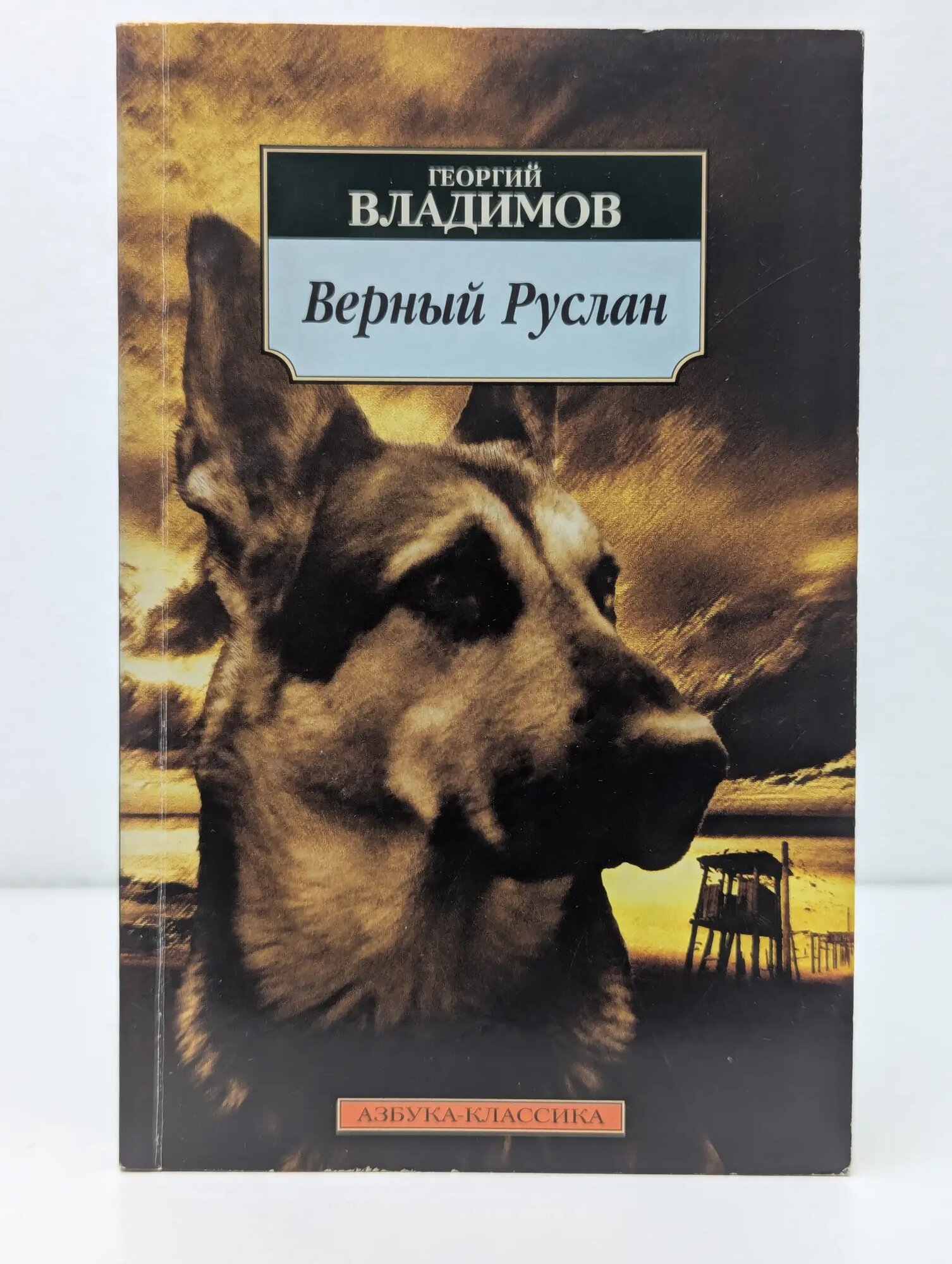 Азбука-классика. Верный Руслан Владимов Георгий Николаевич 2007
